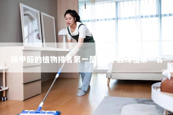 除甲醛的植物排名第一是_吸甲醛绿植第一名