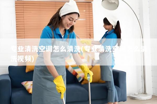 专业清洗空调怎么清洗(专业清洗空调怎么清洗视频)